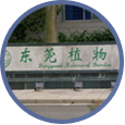 東莞植物園