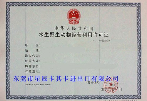 石珊瑚經(jīng)營利用許可證及進出口手續(xù)