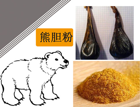 熊膽粉