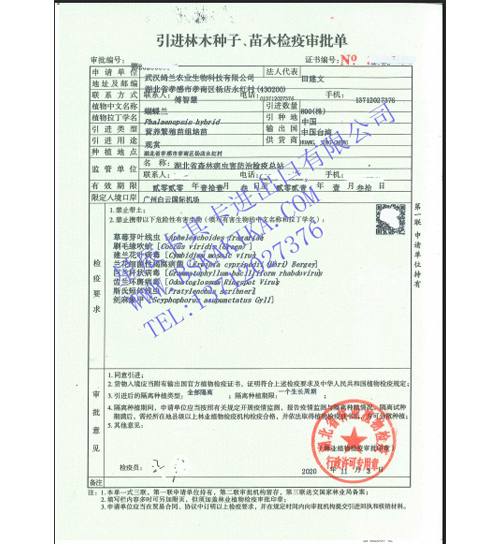 蘭花進出口批文代辦手續(xù)