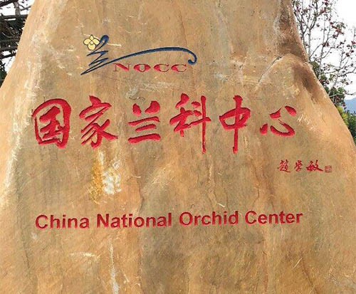 深圳市蘭科植物中心
