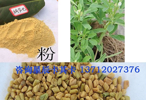 中藥材胡蘆巴籽進出口代理