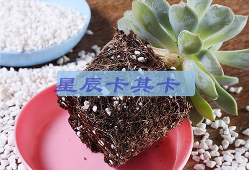 珍珠巖進(jìn)口